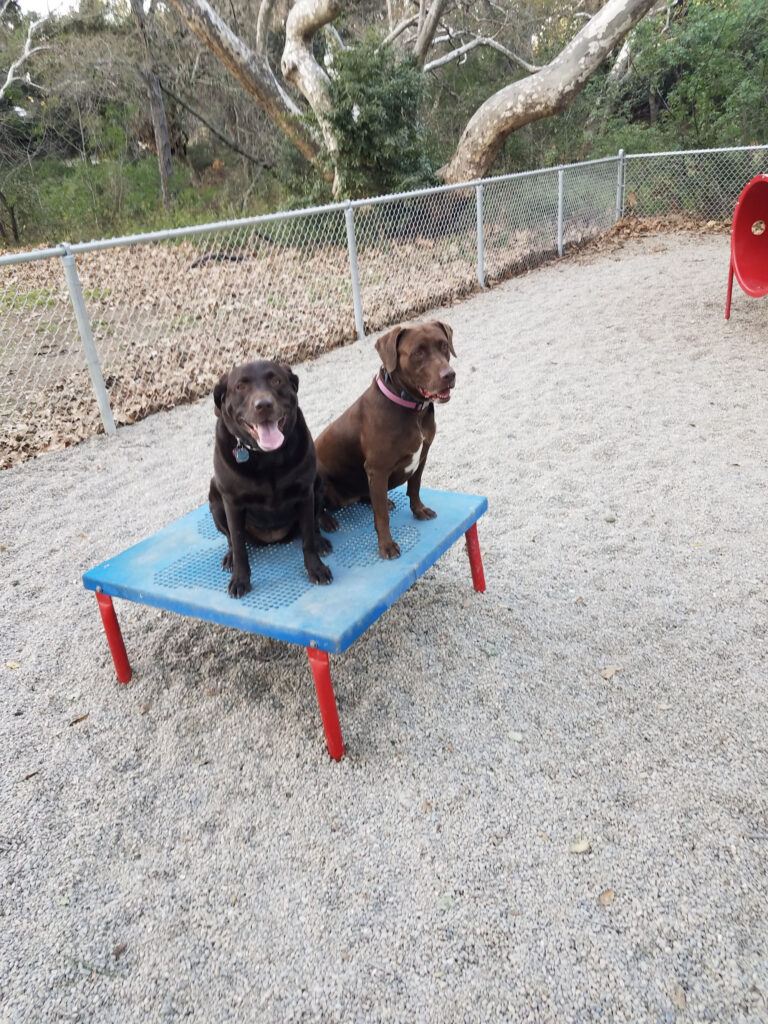 Morgan Hill RV Resort