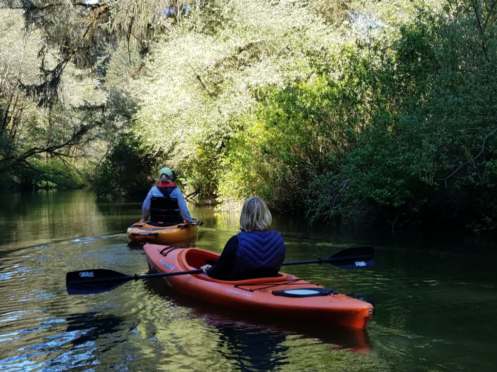 Kayaking Oregon Siltcoos Canoe Trail Go FullTime RVing