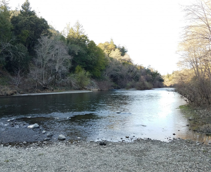 Russian River RV Campground Thousand Trails Review   60e3ed8cd83c966aa0324ba03f615be2 Cropped 1587491238 Optimized 