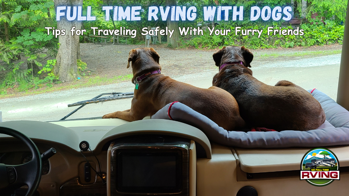 Full Time RVing With Dogs