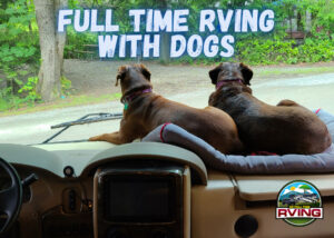 Full Time RVing With Dogs