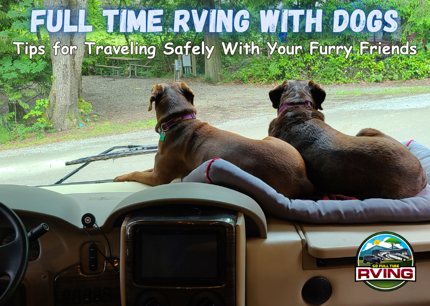 Full Time RVing With Dogs