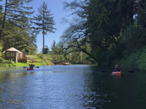 Siltcoos Canoe Trail