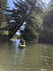 Siltcoos Canoe Trail