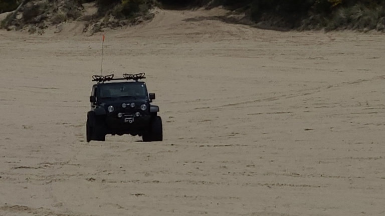 Playing at Winchester Bay Sand Dunes