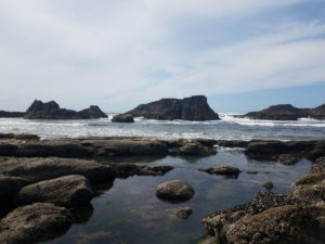 Seal Rock