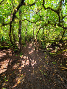 Hiking The Hobbit Trail