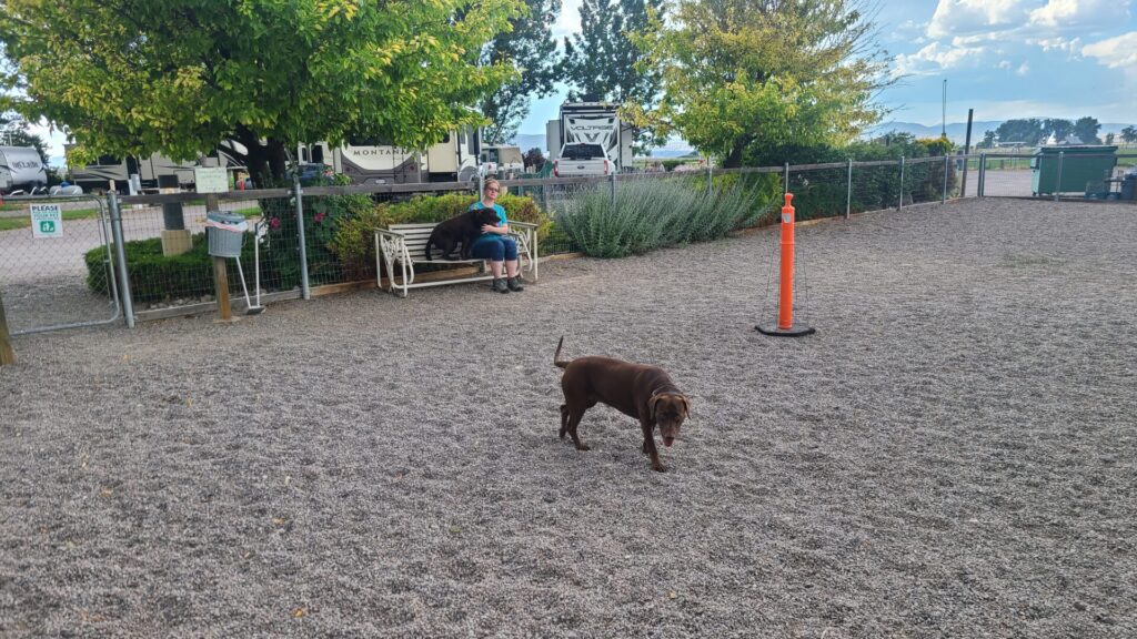 Ruby in the dog park at Days End RV Park