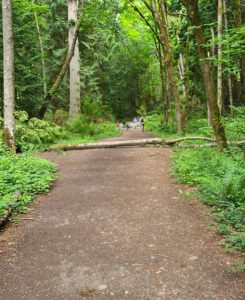 Clayton Beach Trail