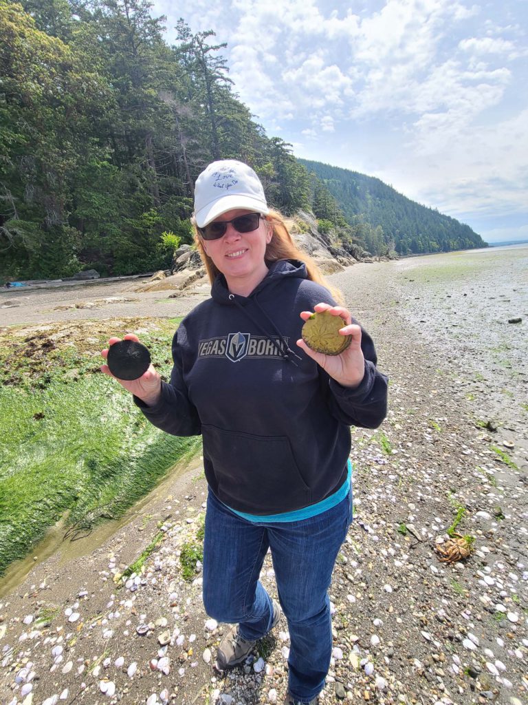 Clayton Beach – Sand Dollar Hunting
