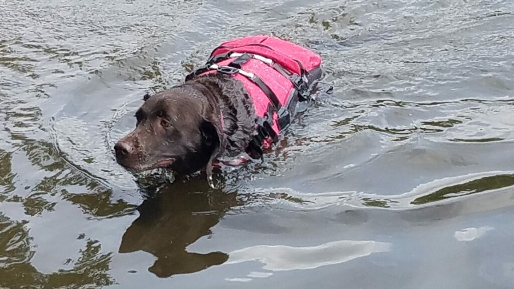 Safe Swimming