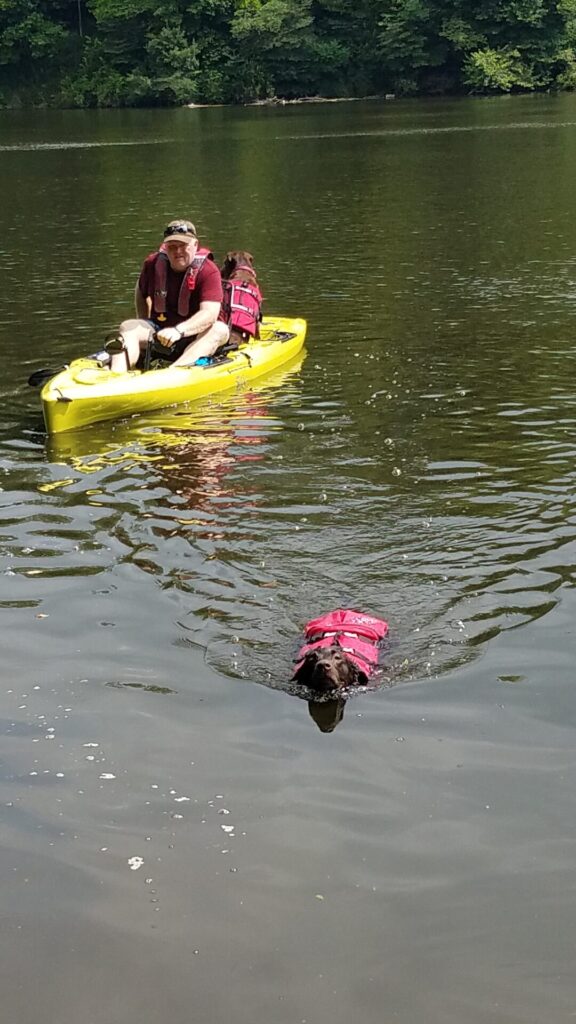 Safe Swimming