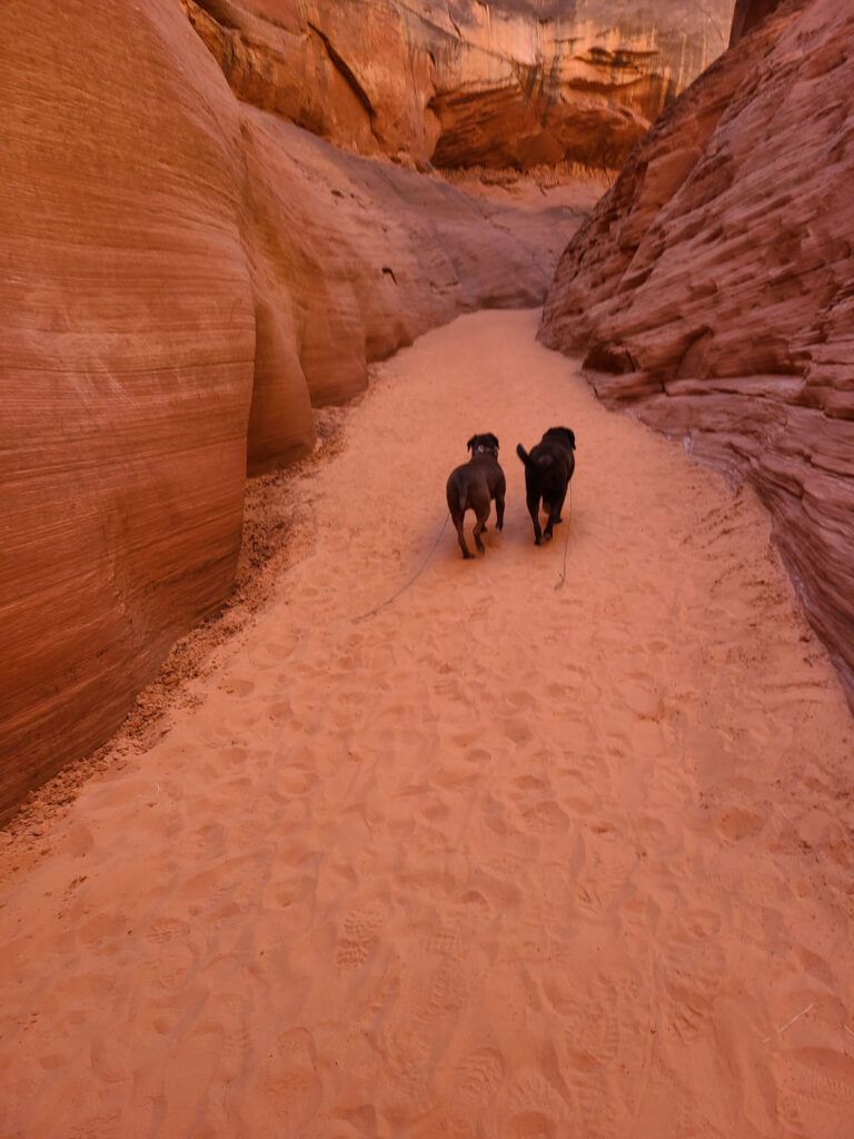 Kayaking and Hiking Antelope Canyon