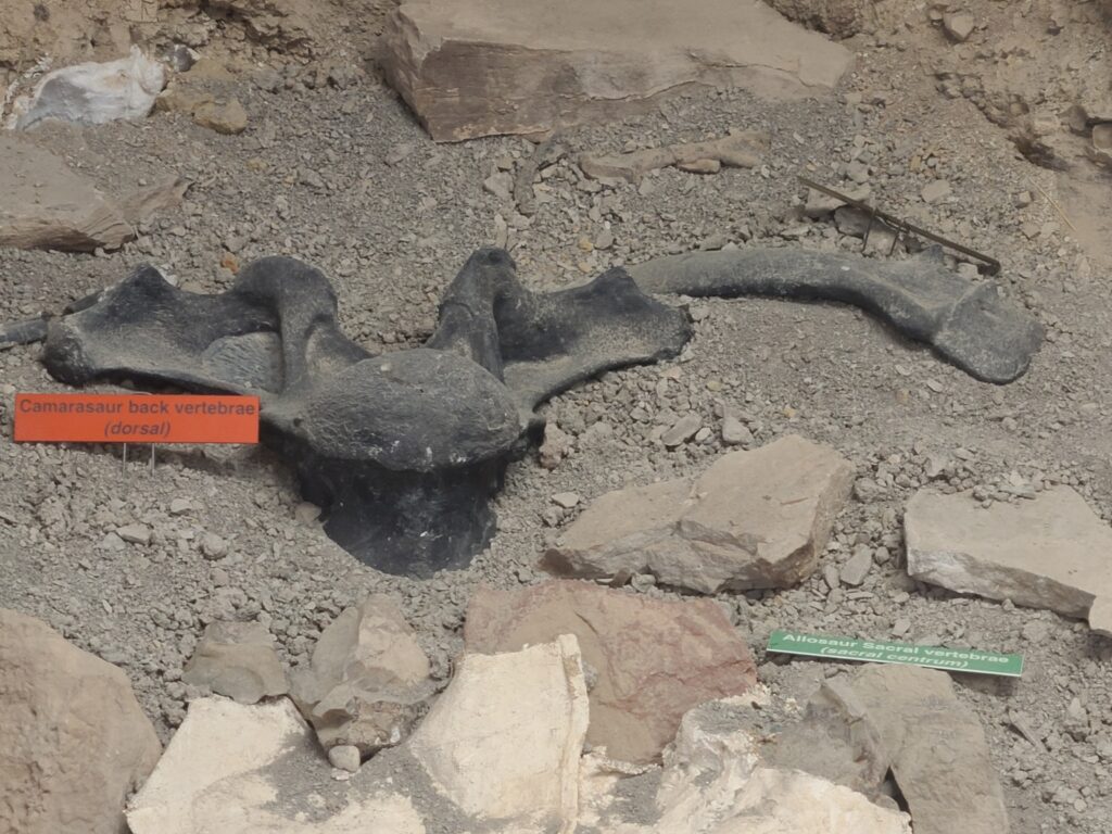 Jurassic National Monument Elmo, Utah Go FullTime RVing