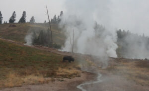 Yellowstone National Park