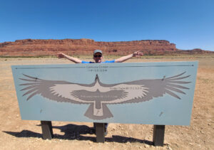 California Condor