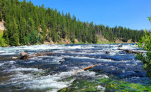 Yellowstone River