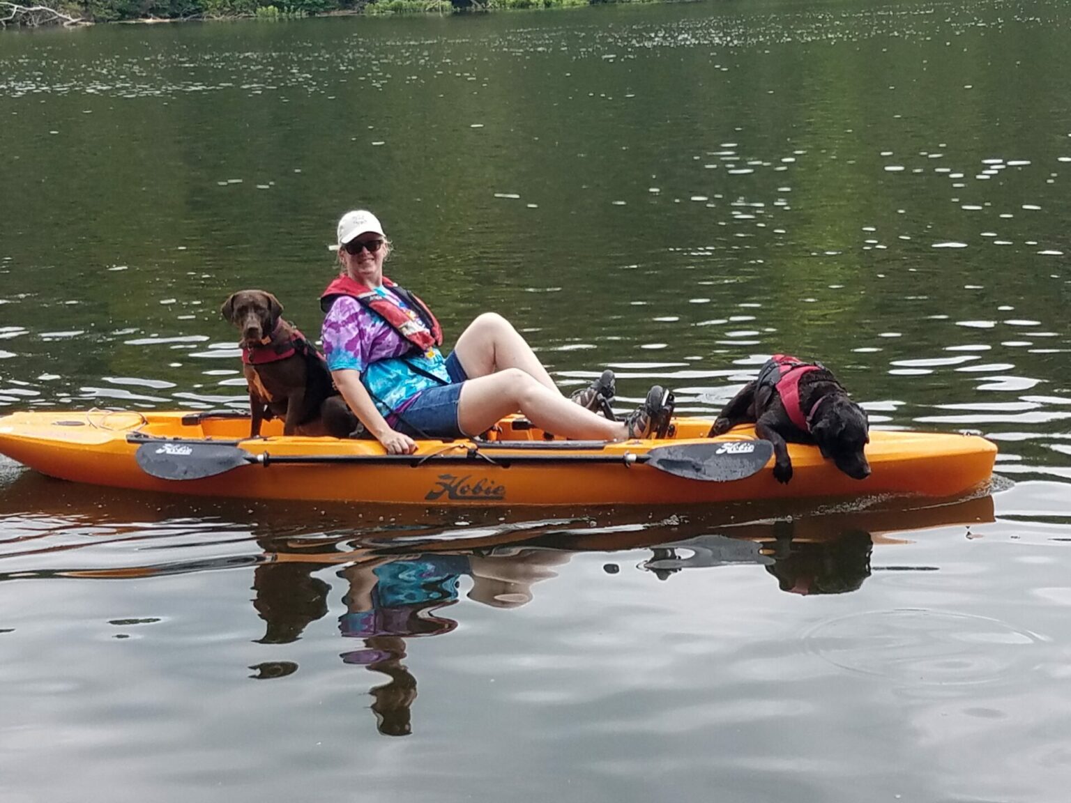 Bear Cave Resort (Thousand Trails) Buchanan, Michigan