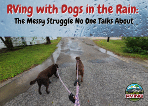 RVing with Dogs in the Rain