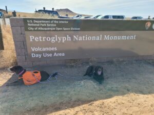 Petroglyph National Monument