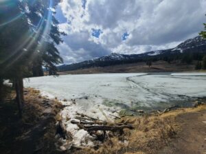 Trout Lake