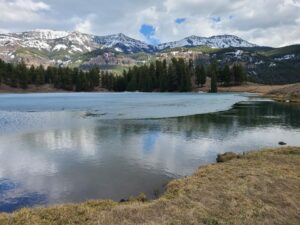 Trout Lake Trail