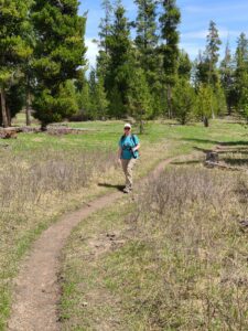 Hiking Yellowstone