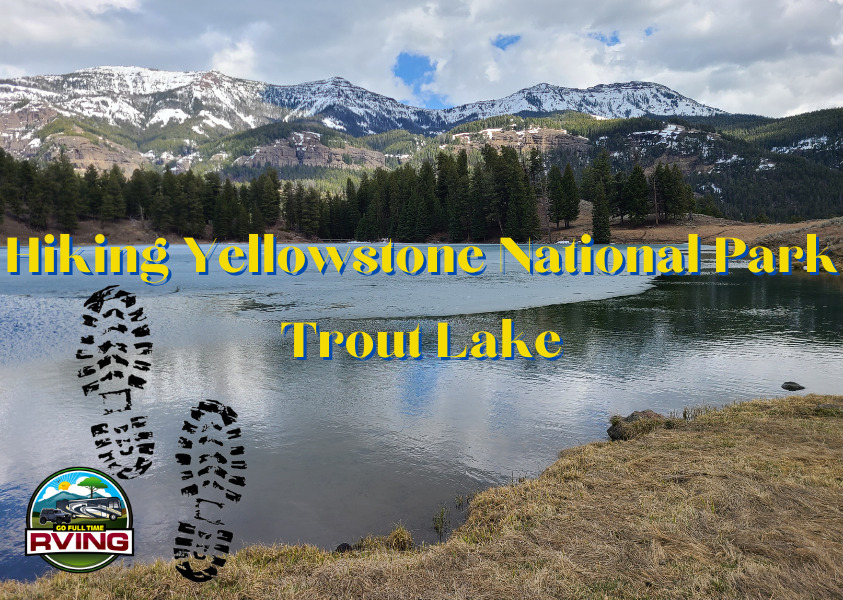 Hiking Yellowstone National Park - Trout Lake