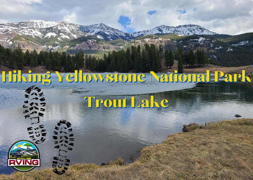 Hiking Yellowstone National Park Trout Lake