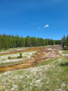 Yellowstone Thermal Features