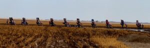 Cadillac Ranch