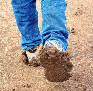 Cadillac Ranch Mud