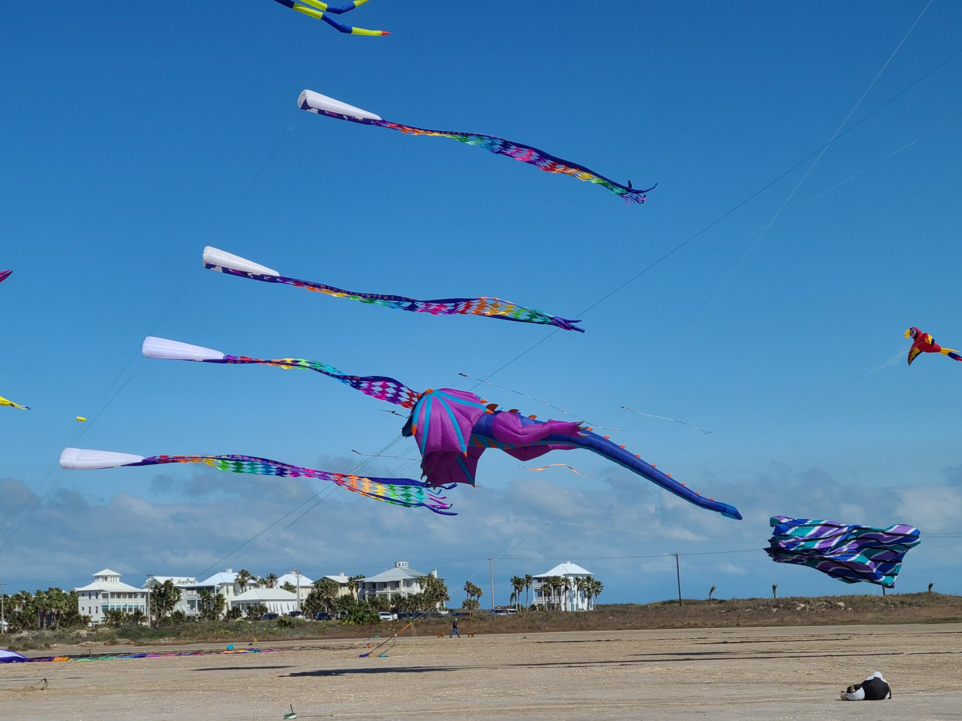 South Padre Island Kite Festival Go FullTime RVing