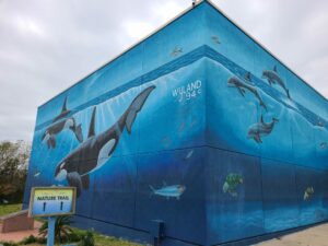 Wyland Whaling Wall