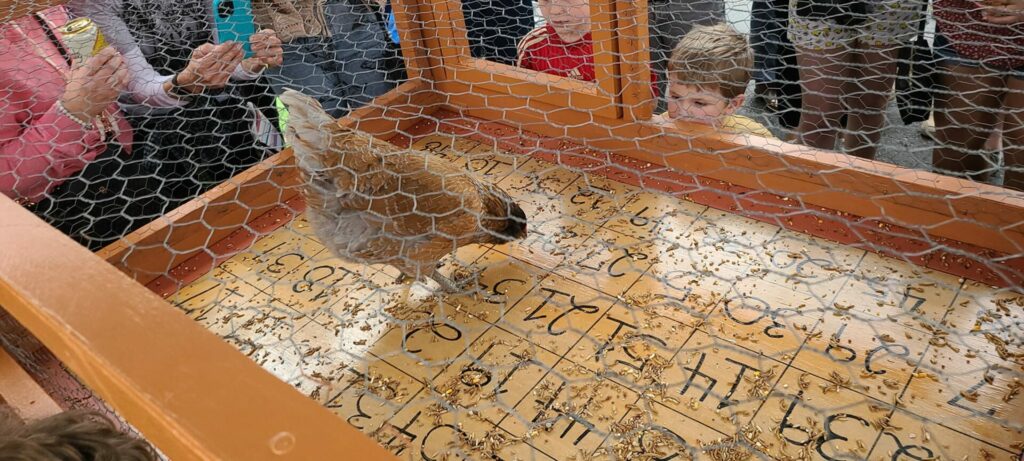 Chicken Shit Bingo