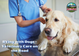 RVing with Dogs - Veterinary Care on the Road