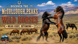 Discover the McCullough Peaks Wild Horses