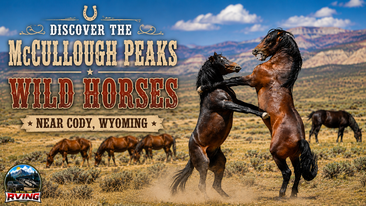 Discover the McCullough Peaks Wild Horses