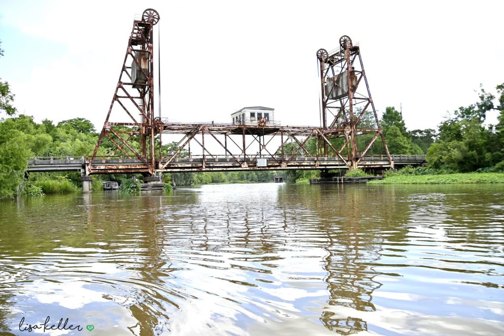 New Orleans Swamp Tour