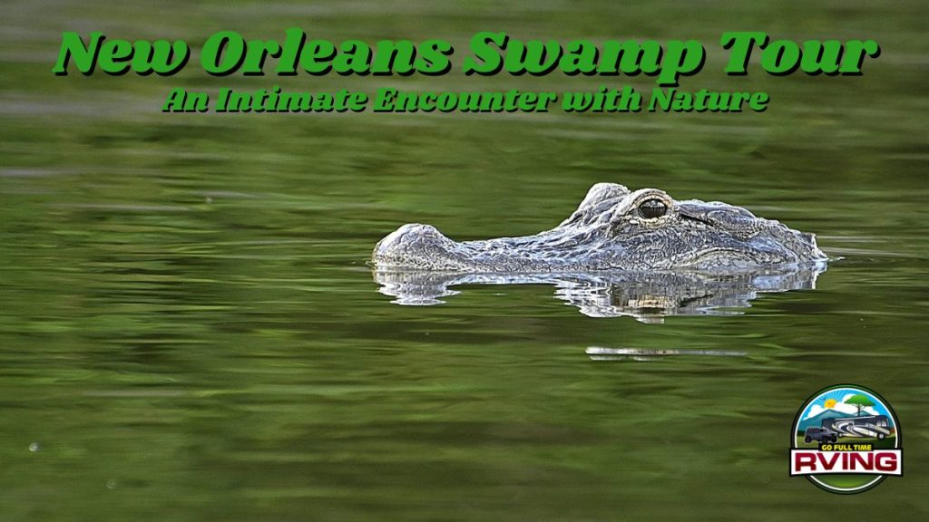 New Orleans Swamp Tour