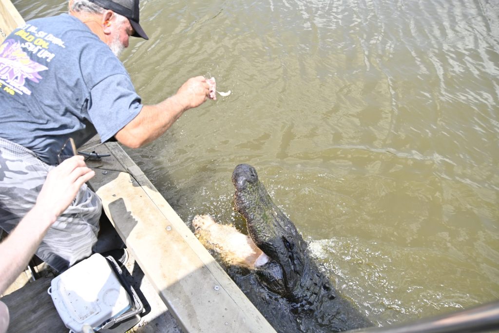 Airboat Swamp Tour