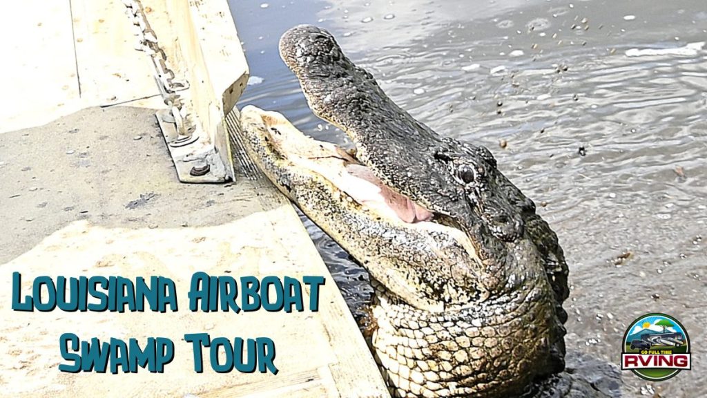 Airboat Swamp Tour