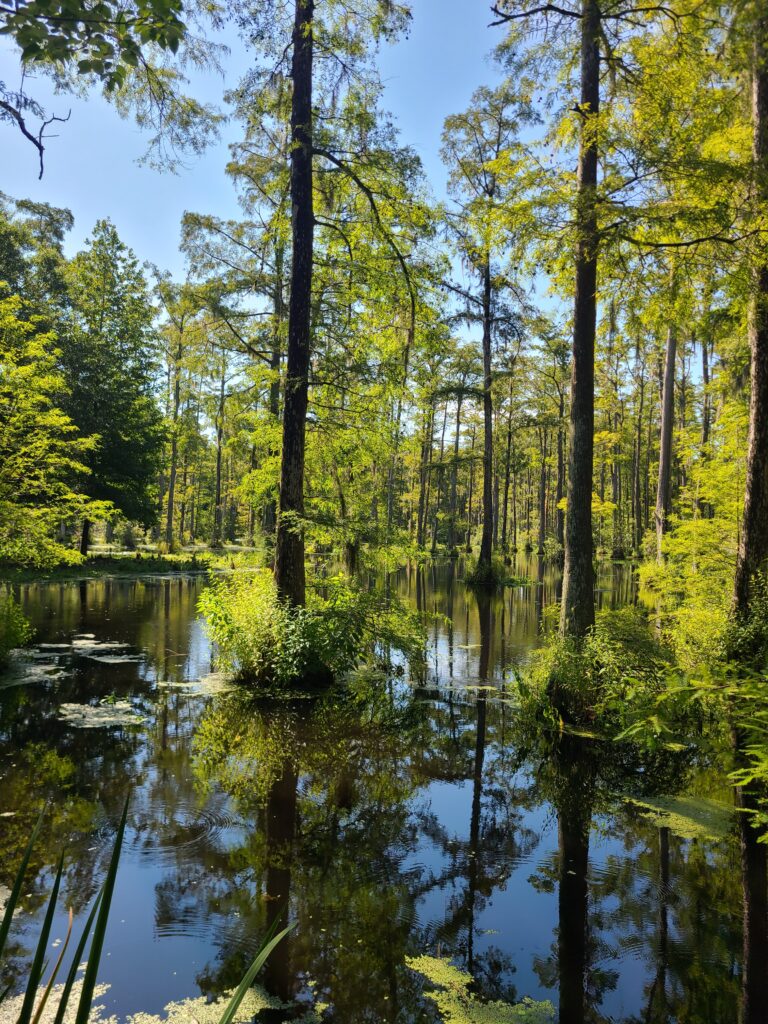 Cypress Gardens Boat Ride