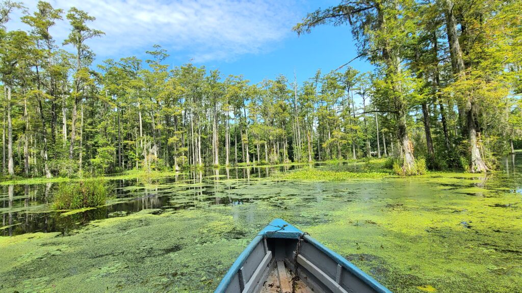 Cypress Gardens Boat Ride