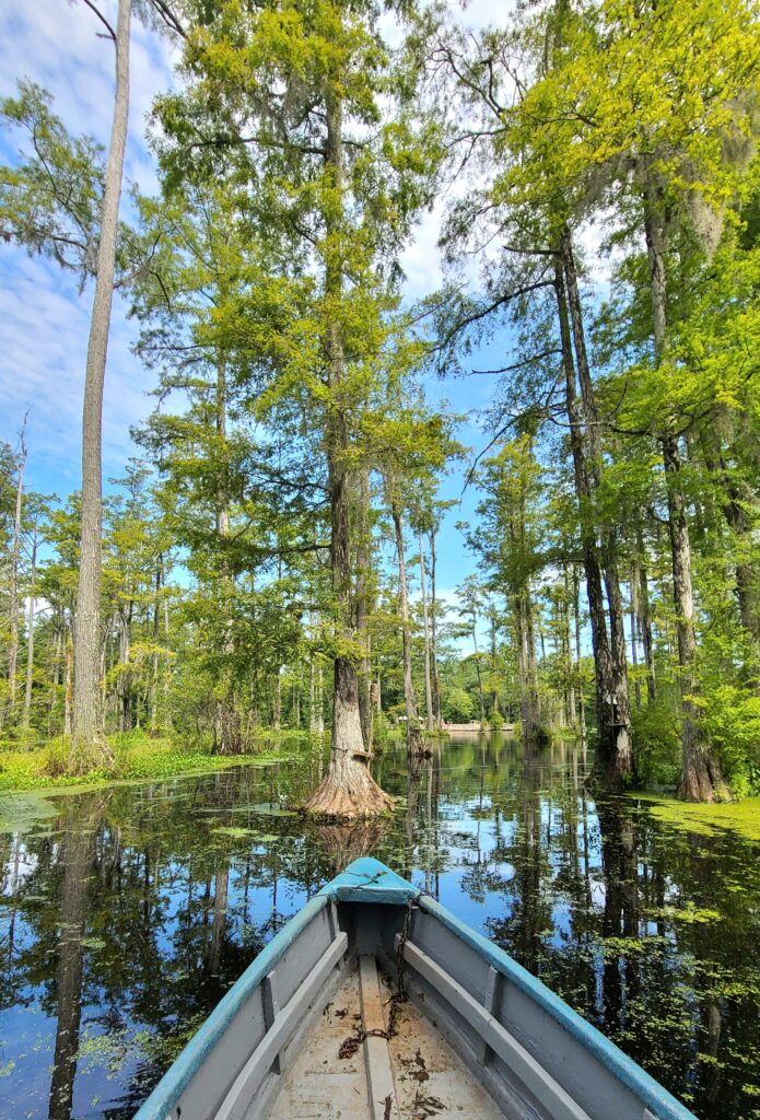 Cypress Gardens Boat Ride