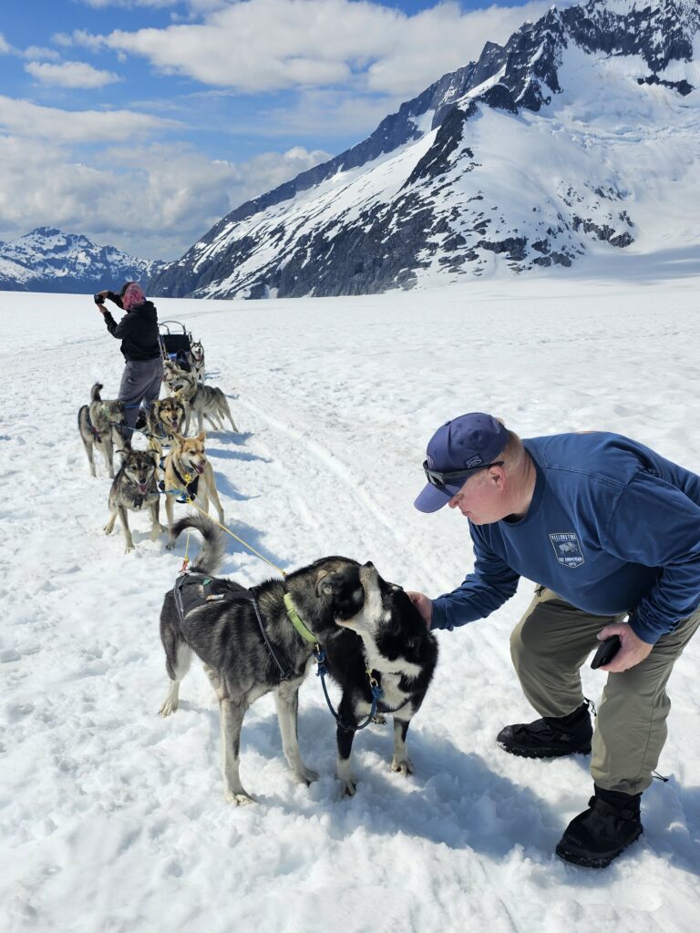 Dog Sledding