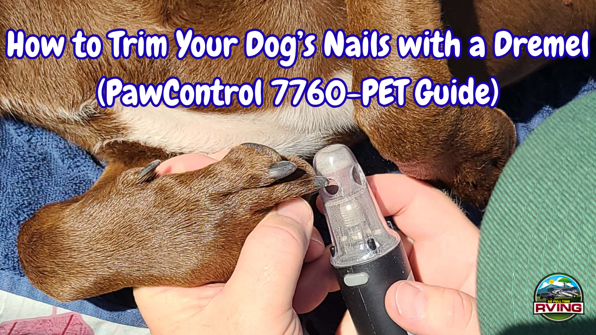 Dog's Nails