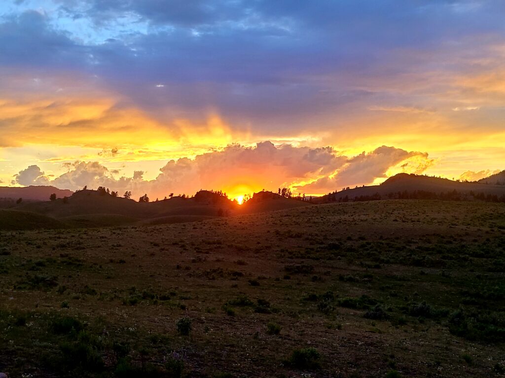 Desert Sunset