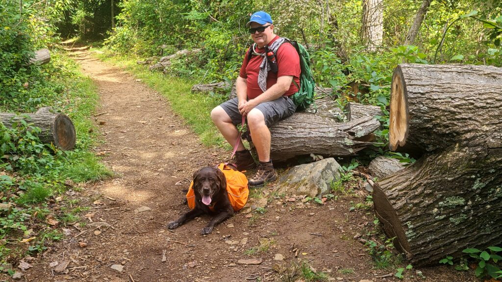 Dog-Friendly Hikes in Shenandoah National Park 5 Trails You’ll Love