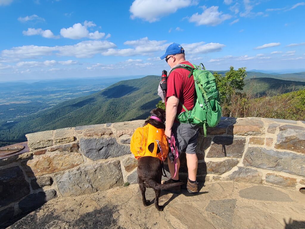 Dog-Friendly Hikes in Shenandoah National Park 5 Trails You’ll Love